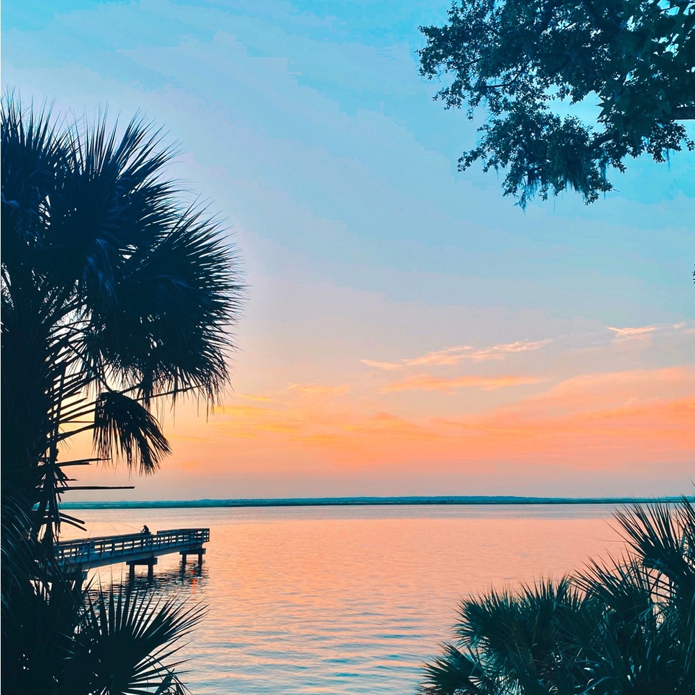 Meet your Posher, Xenia